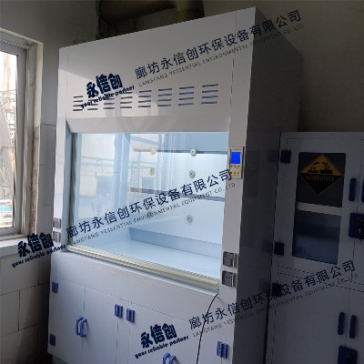 Polypropylene Fume Hood